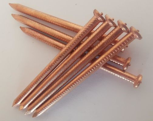 3 X 100 MM ทองแดงเคลือบ CD สูบสอยด้วยหัวมีจุด